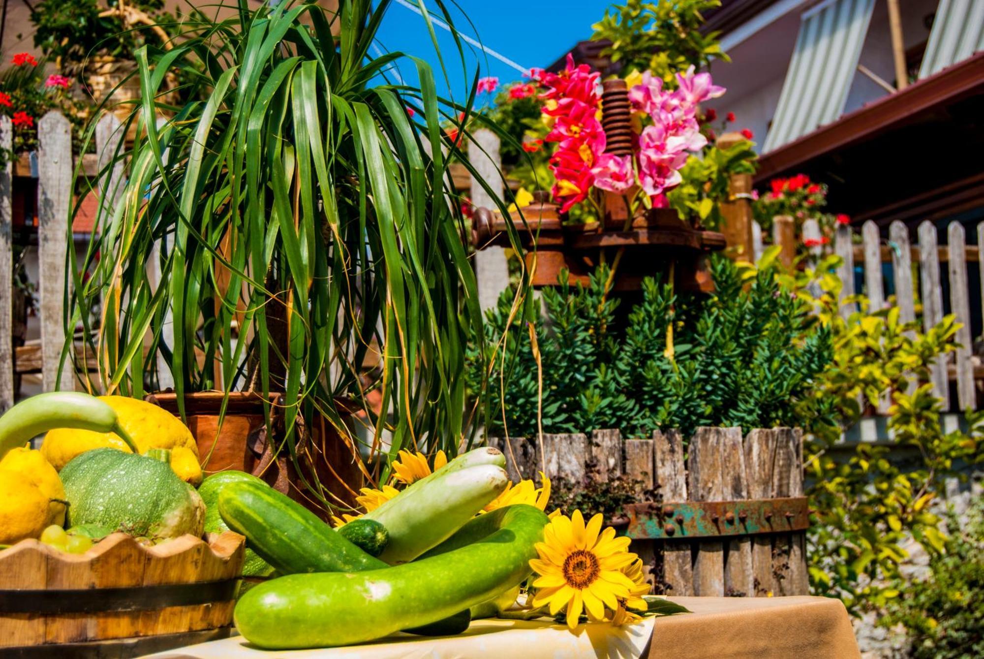 Agriturismo Mare E Monti Agerola Dış mekan fotoğraf