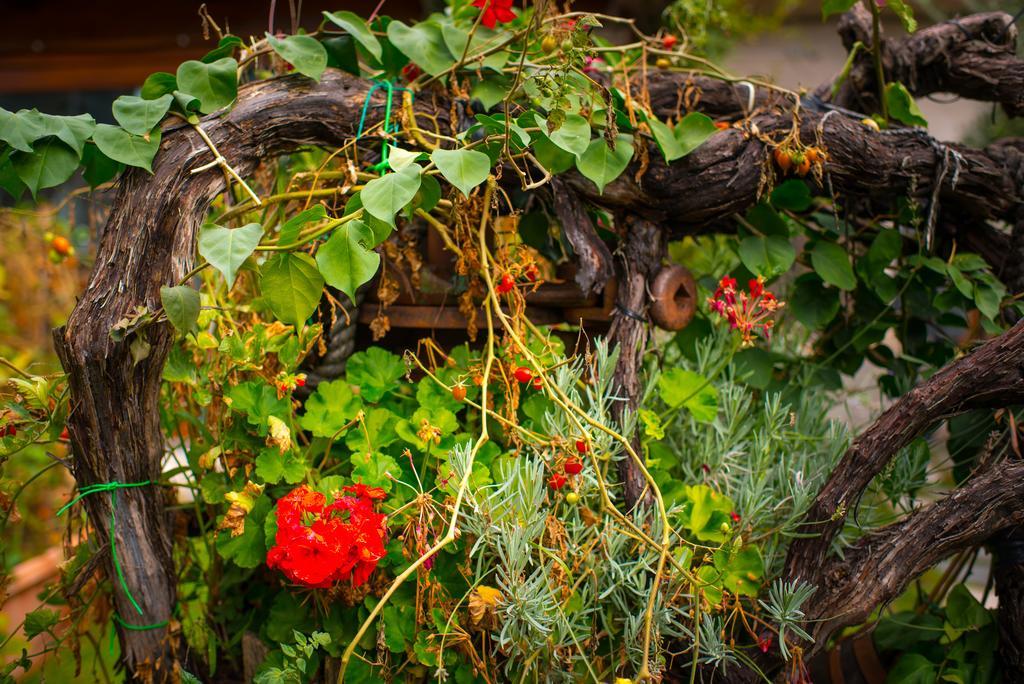 Agriturismo Mare E Monti Agerola Dış mekan fotoğraf