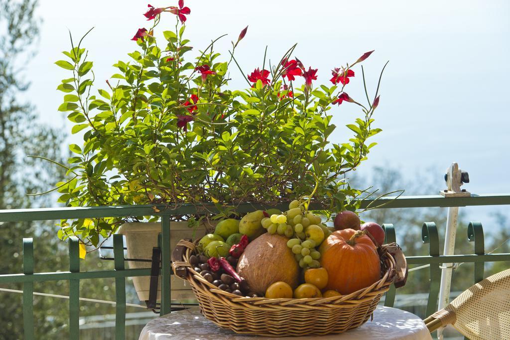 Agriturismo Mare E Monti Agerola Dış mekan fotoğraf