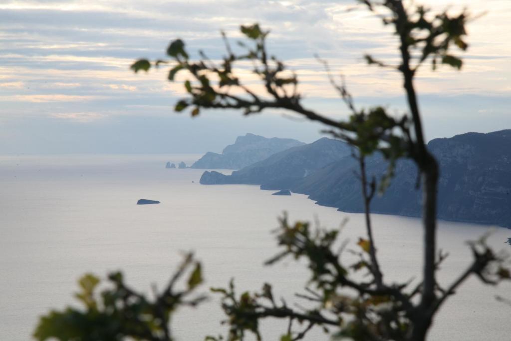 Agriturismo Mare E Monti Agerola Dış mekan fotoğraf