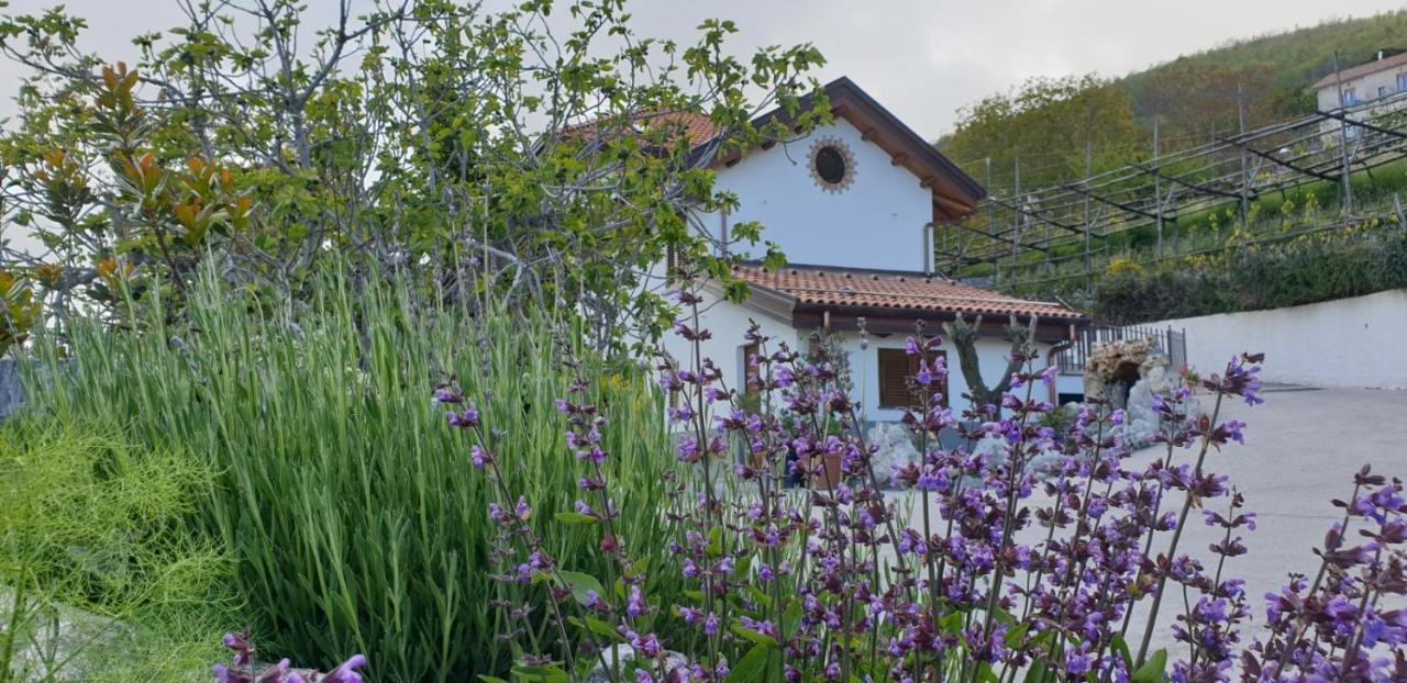 Agriturismo Mare E Monti Agerola Dış mekan fotoğraf