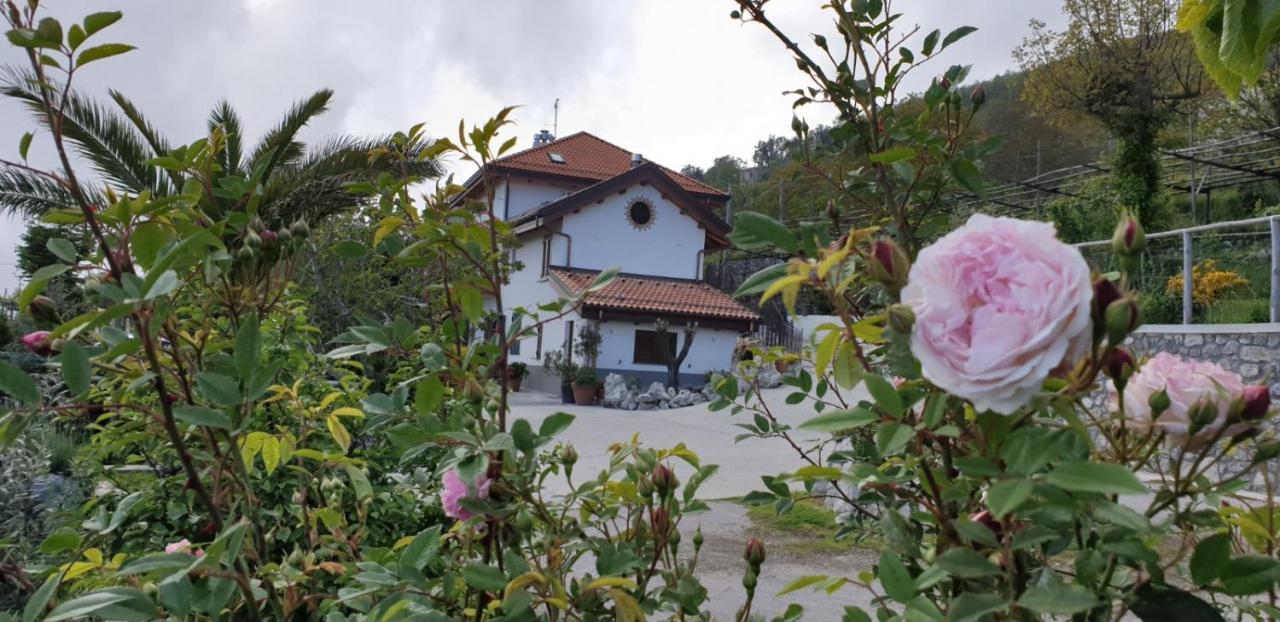 Agriturismo Mare E Monti Villa Agerola Dış mekan fotoğraf